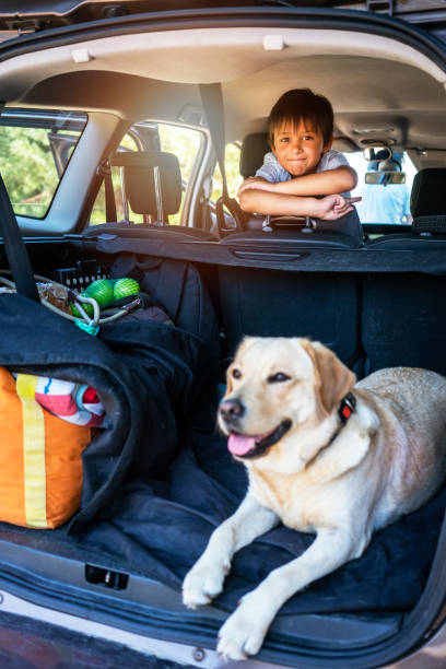 istock Little boy with her dog in car trunk 1171693792