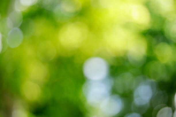 istock Abstract defocused green nature background 1171694337