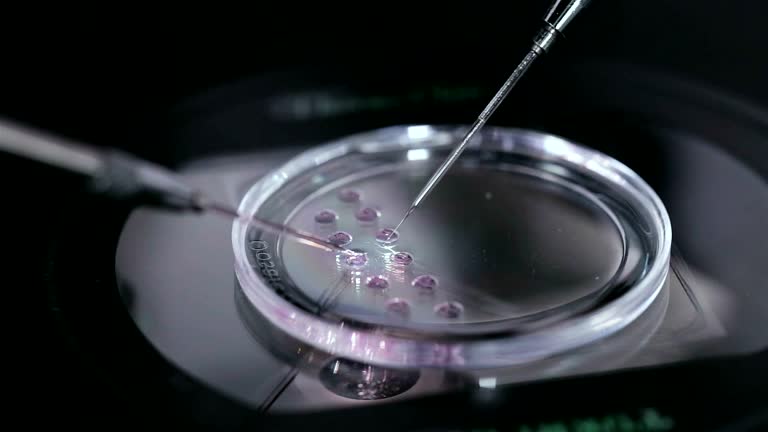 1,112 Test Tube Baby Stock Videos and Royalty-Free Footage - iStock | Test tube baby poster, First test tube baby 1,112 Test Tube Baby Stock Videos and Royalty-Free Footage - iStock | Test tube baby poster, First test tube baby