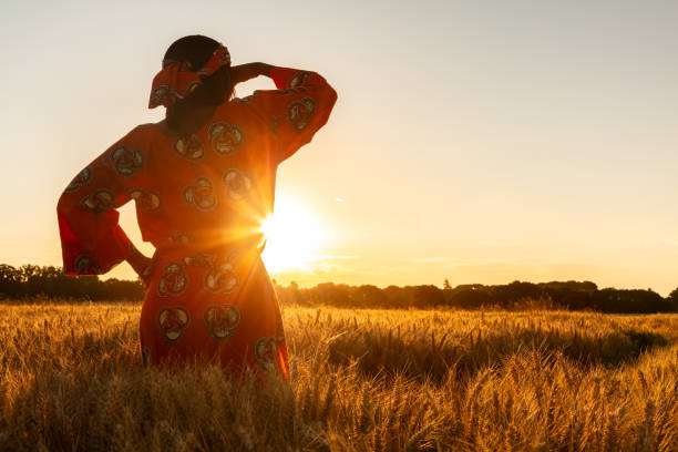 afrikanische frau in traditionellen kleidern stehend, schauend, von hand zu augen, auf dem feld der gerste oder weizenkulturen bei sonnenuntergang oder sonnenaufgang - african sunrise stock-fotos und bilder