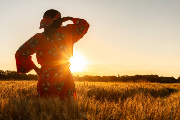 African woman in traditional clothes standing, looking, hand to eyes, in field of barley or wheat crops at sunset or sunrise stock photo