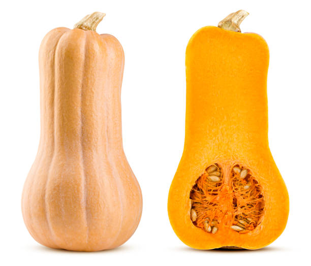 istock pumpkin butternut squash isolated on white background, full depth of field 1171699384