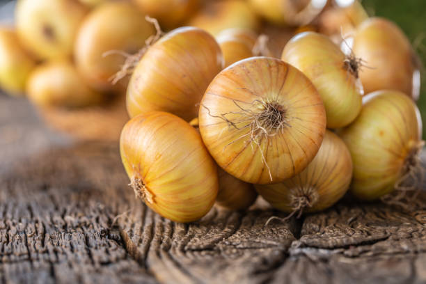 istock bundle of freely lying dried onion on a wooden table 1171700923