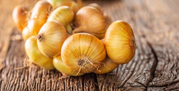 istock bundle of freely lying dried onion on a wooden table 1171701000