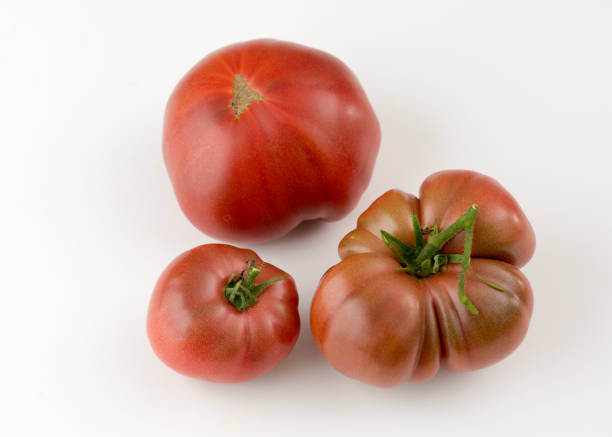 istock Fresh field beefsteak tomato from Ontario Canada on white background 1171701047