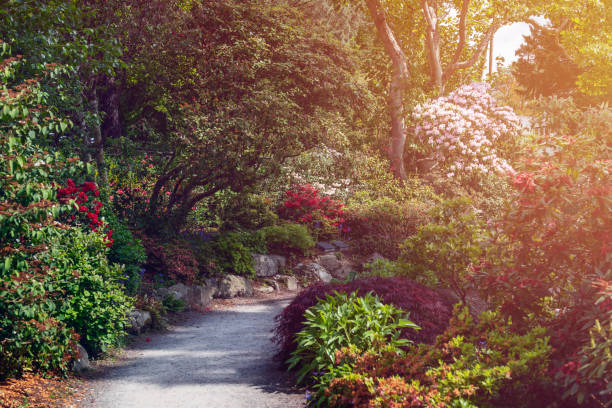 istock Beautiful Garden with blooming trees during spring time 1171702648