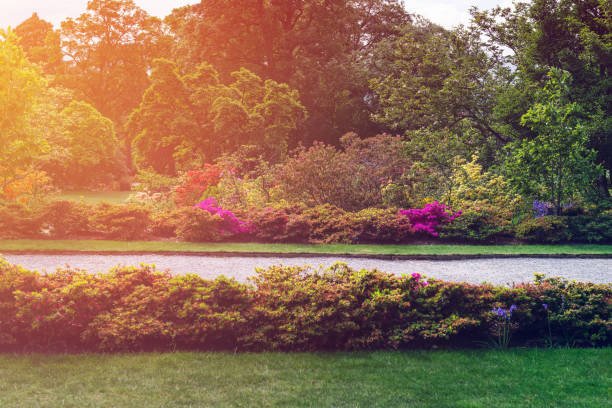 istock Beautiful Garden with blooming trees during spring time 1171702784