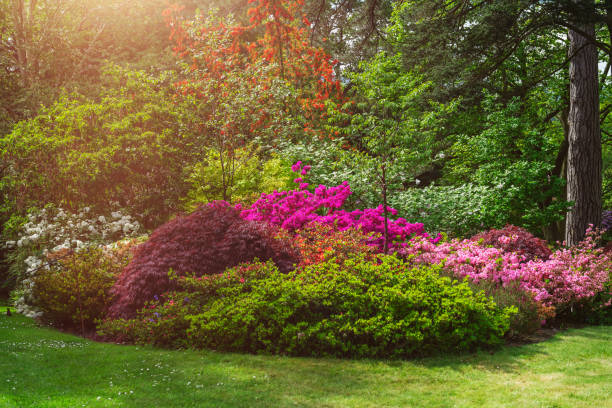 istock Beautiful Garden with blooming trees during spring time 1171702790
