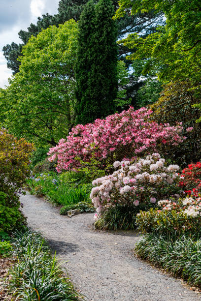istock Beautiful Garden with blooming trees during spring time 1171702812