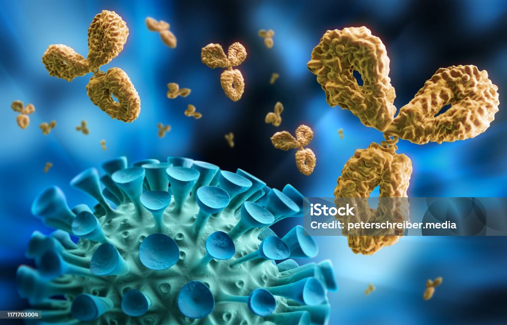 Antikörper und Virus - 3D Illustration - Lizenzfrei Antikörper Stock-Foto