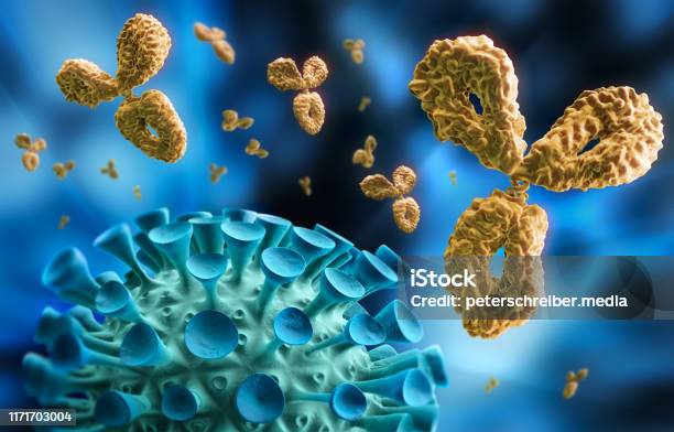Antikörper Und Virus 3d Illustration Stockfoto und mehr Bilder von Antikörper - Antikörper, HIV, Dreidimensional