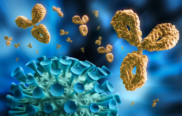 антитела и вирус - 3d иллюстрация - influenza a virus стоковые фото и изображения