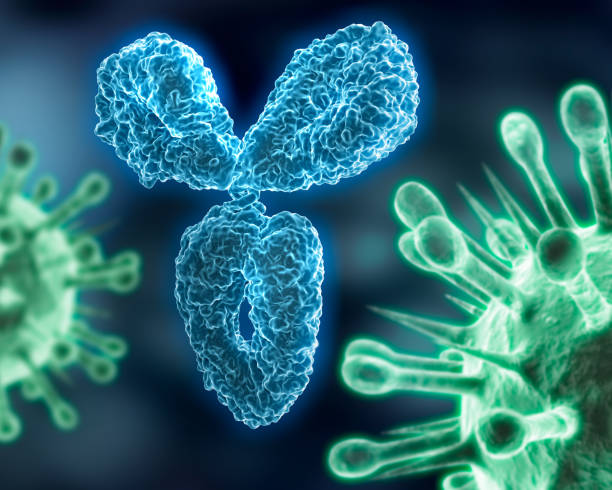 istock Antibody and virus - 3d Illustration 1171703084