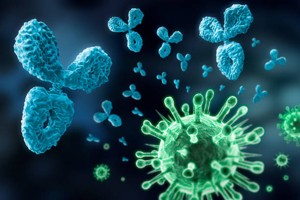 anticuerpos y virus - 3d illustration - hiv cell human cell retrovirus fotografías e imágenes de stock