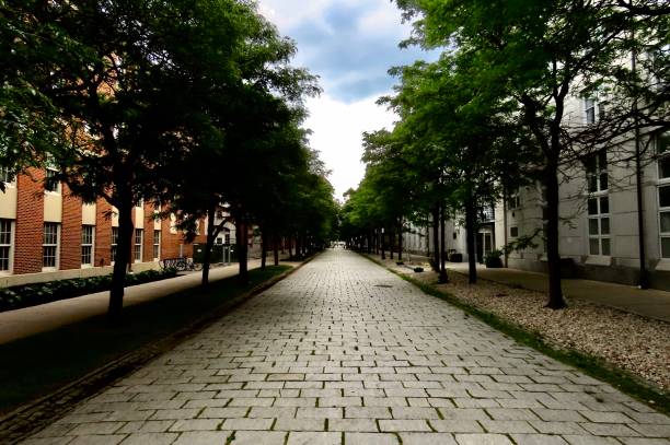 istock The road less traveled 1171706655