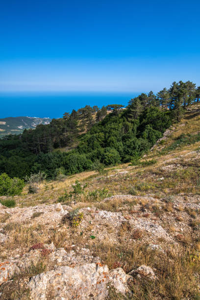 istock Beautiful view from a Mount Ah-Petri in Crimea 1171709335