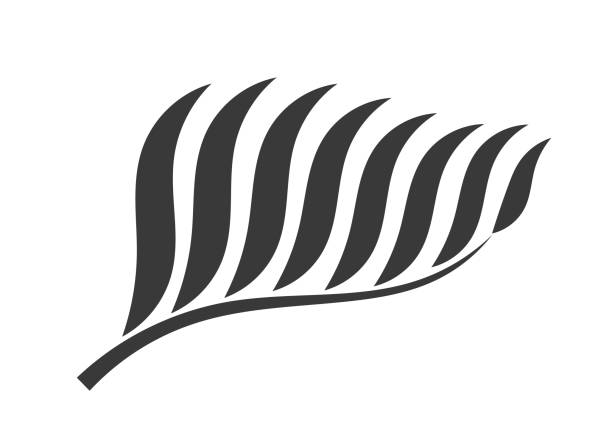 palme pflanze blatt symbol. - palm leaf branch leaf palm tree stock-grafiken, -clipart, -cartoons und -symbole