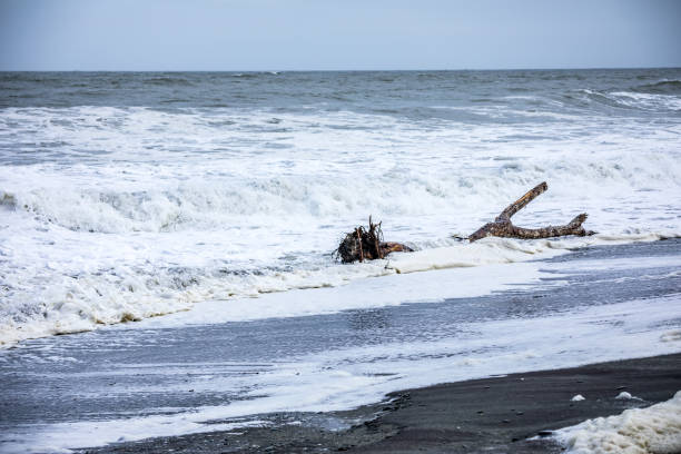 An image of the jade beach Hokitika, New Zealand