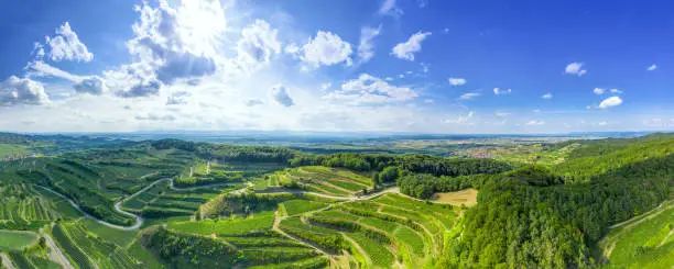An image of an aerial view vineyard scenery at Kaiserstuhl Germany