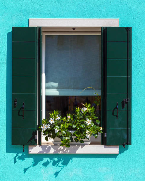 이탈리아 부라노의 베네치아 섬에 꽃이 있는 창문 - venetian lagoon italy flower shutter 뉴스 사진 이미지