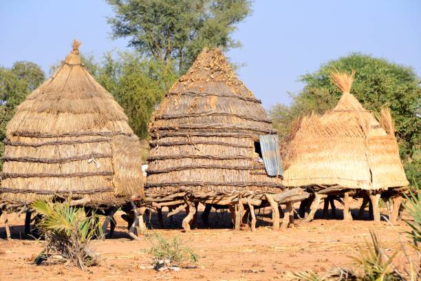 istock Thatched straw huts on stilts, Bangou Kouarey, Niger 1171715908