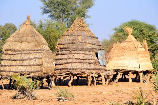 Thatched straw huts on stilts, Bangou Kouarey, Niger Bangou Kouarey, Tillabéri Region, Niger: thatched straw huts on stilts - African village scene thatched roof hut straw grass hut stock pictures, royalty-free photos & images