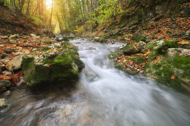 istock Autumn landscape. River into canyon. 1171718171