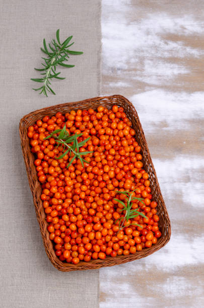 istock Large sea buckthorn berries with rosemary branches. 1171718881