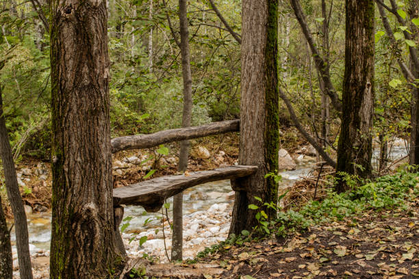 Forest bench by the mountain river for tourists to relax. Autumn landscape.
