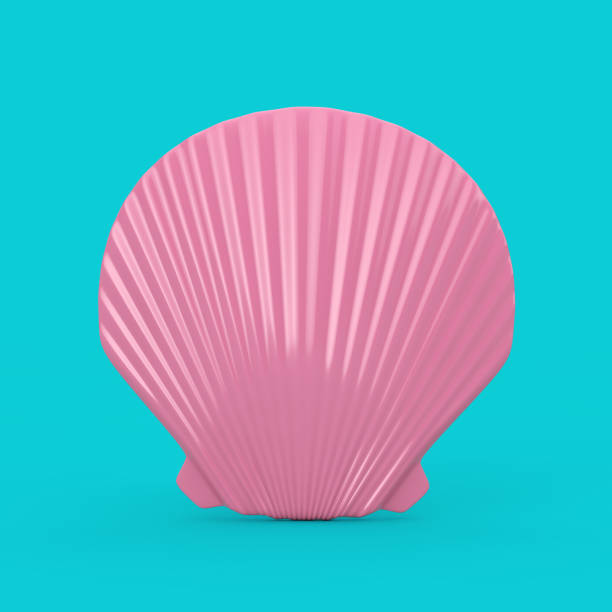 istock Beauty Pink Scallop Sea or Ocean Shell Seashell Mock Up Duotone. 3d Rendering 1171721636