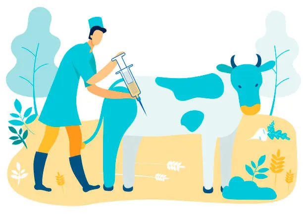 Vector illustration of Man Veterinarian with Syringe Inject Cow. Vector.