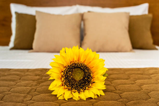 Luxury hotel bedroom bed clean ironed tidy cotton sheets and pillows ready for guests to sleep.