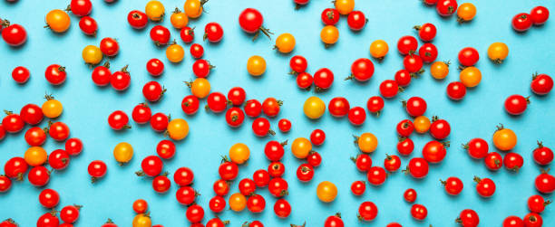 istock Red and yellow cherry tomatoes on blue background. Fresh bright organic vegetables 1171726887