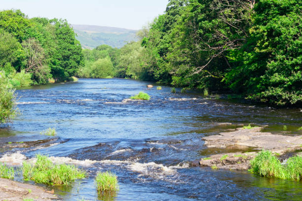 ディー川は小さな急流を作り出す岩の上を速く流れる - dee river river denbighshire wales ストックフォトと画像