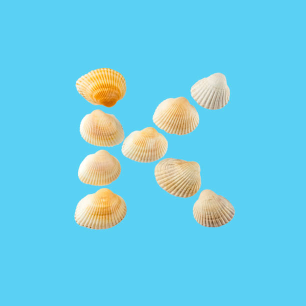 istock Letter 