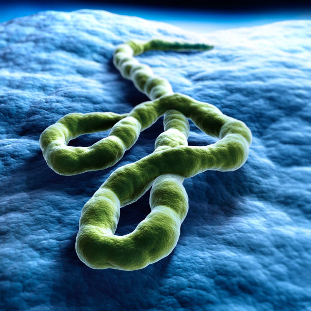 istock Ebola Virus Stock Photo 1171729209