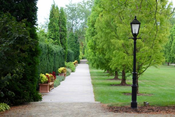 istock Walk in the Garden 1171731306