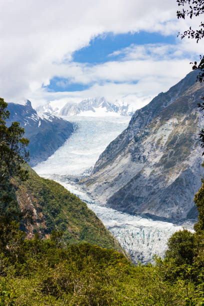 Franz Josef Glacial Valley Franz Josef Glacier and valley surrounds on a bright summer day in New Zealand franz josef glacier photos stock pictures, royalty-free photos & images