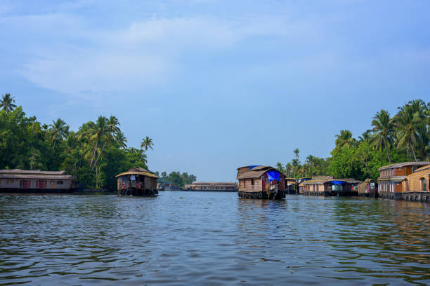 istock River view in Kerala's Backwaters, India. 1171732001