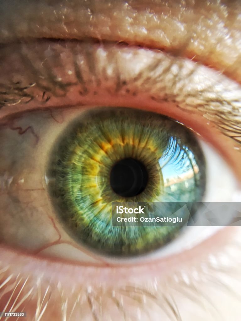 Close Up Shot of Green Eye Unrecognizable Woman. Woman's Eye Close Up Shot. Green Eyes Stock Photo