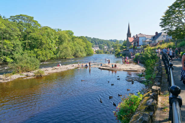 remare nel fiume dee, llangollen, in una calda giornata estiva - dee river river denbighshire wales foto e immagini stock