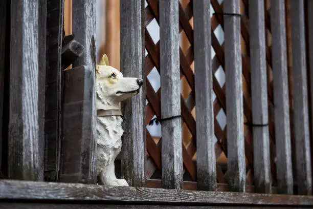 Welsh Corgi Pembroke dog doll statue decorated at balcony of wooden house at magome juku preserve town, Magome juku, Kiso valley, Nakatsugawa, Gifu, Japan. Famous travel landmark.