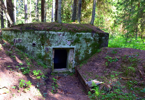 Old abandoned and forgotten concrete bunker or bomb shelter with a single entrance covered with moss located between two hills in the middle of a dense forest or moor seen on a summer day in Poland