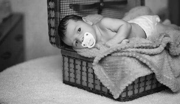 istock Newborn baby lying on the basket and plaid 1171738324