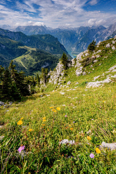istock Allgau Alps, Bavaria 1171740326