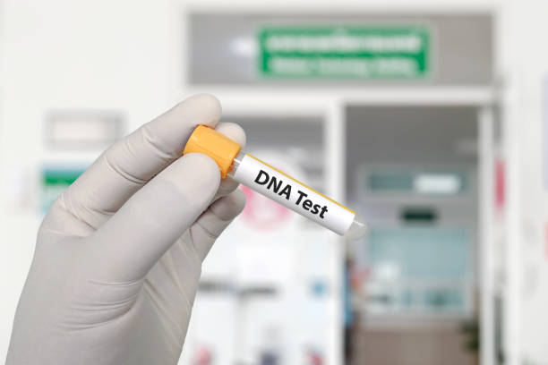 DNA test. Doctor holding sample blood collection tube for DNA test in front of the laboratory. DNA test. Doctor holding sample blood collection tube for DNA test in front of the laboratory. dna test stock pictures, royalty-free photos & images