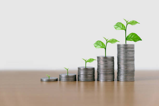 istock Trees growing on pile of coins arranged as a graph on wood table. 1171743525