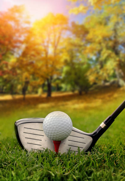 Golf club and ball in grass in forest stock photo