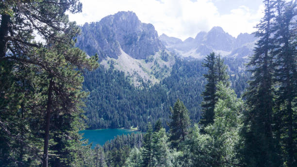 istock Mountains landscape with trees in summertime 1171744543