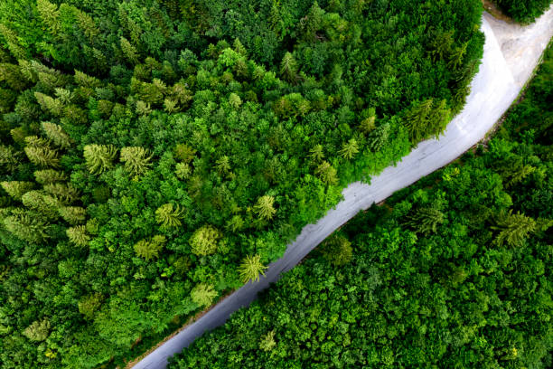istock Aerial view of road with fork in the forest 1171744590